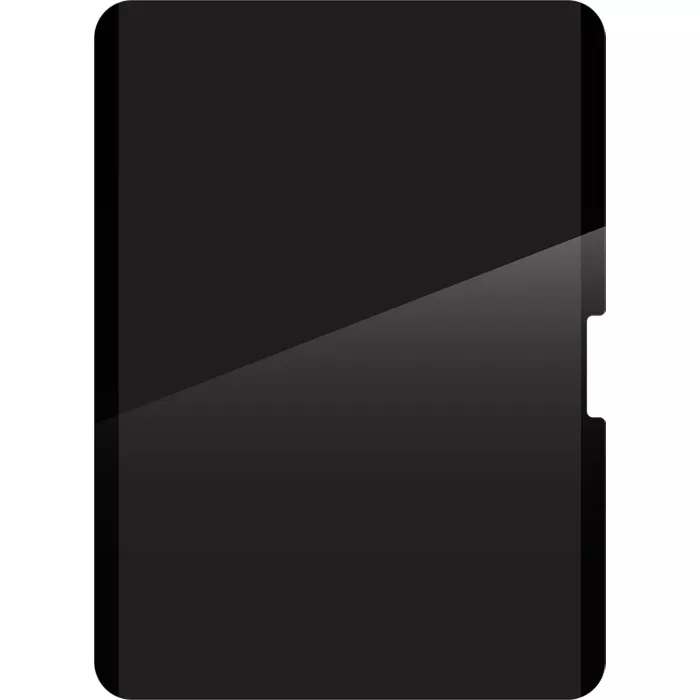 ZAGG Removable Privacy Screen Protector for iPad (A16) and iPad (10th Gen)